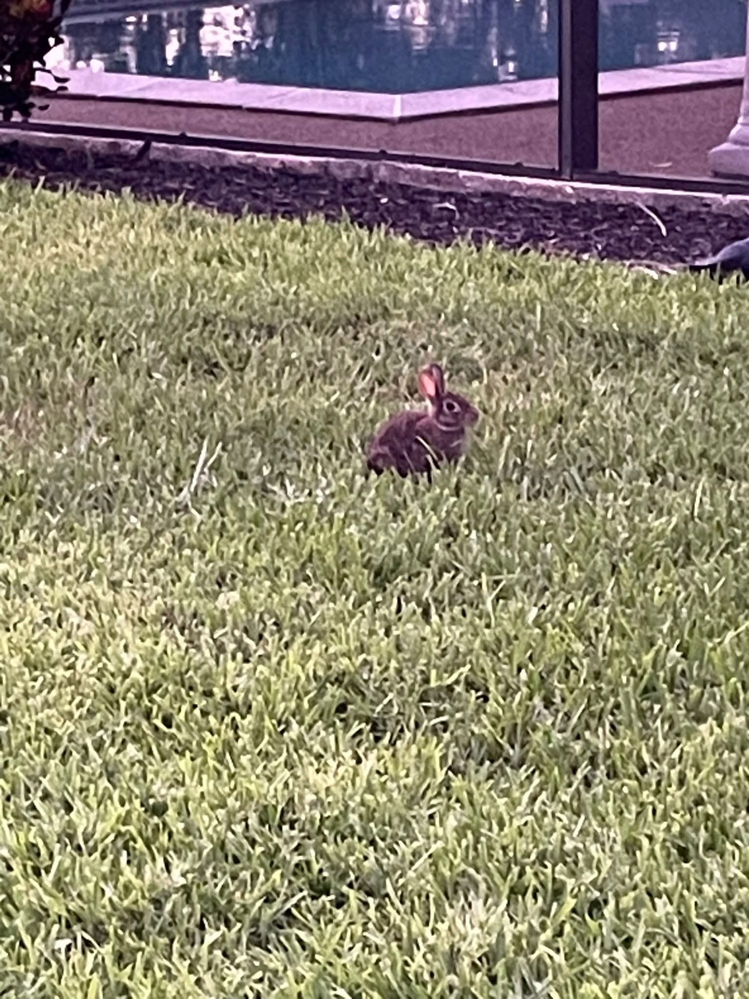 Caught on Camera - Jennie & Larry Westrem