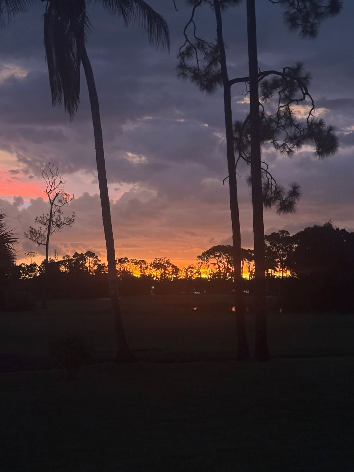 Sunset silhouetting palms and pines over the Eagle Ridge golf course